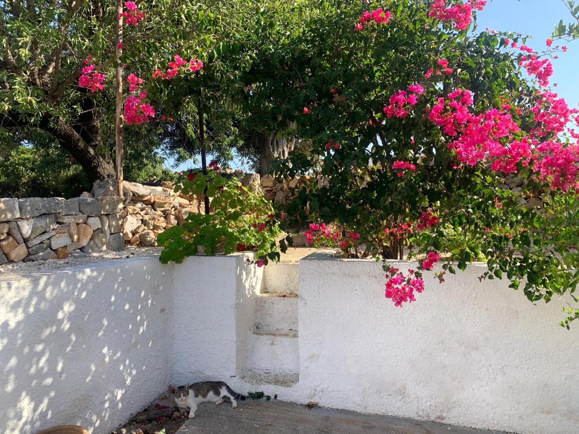 Bei Tempi Villa Polignano a Mare Exterior photo
